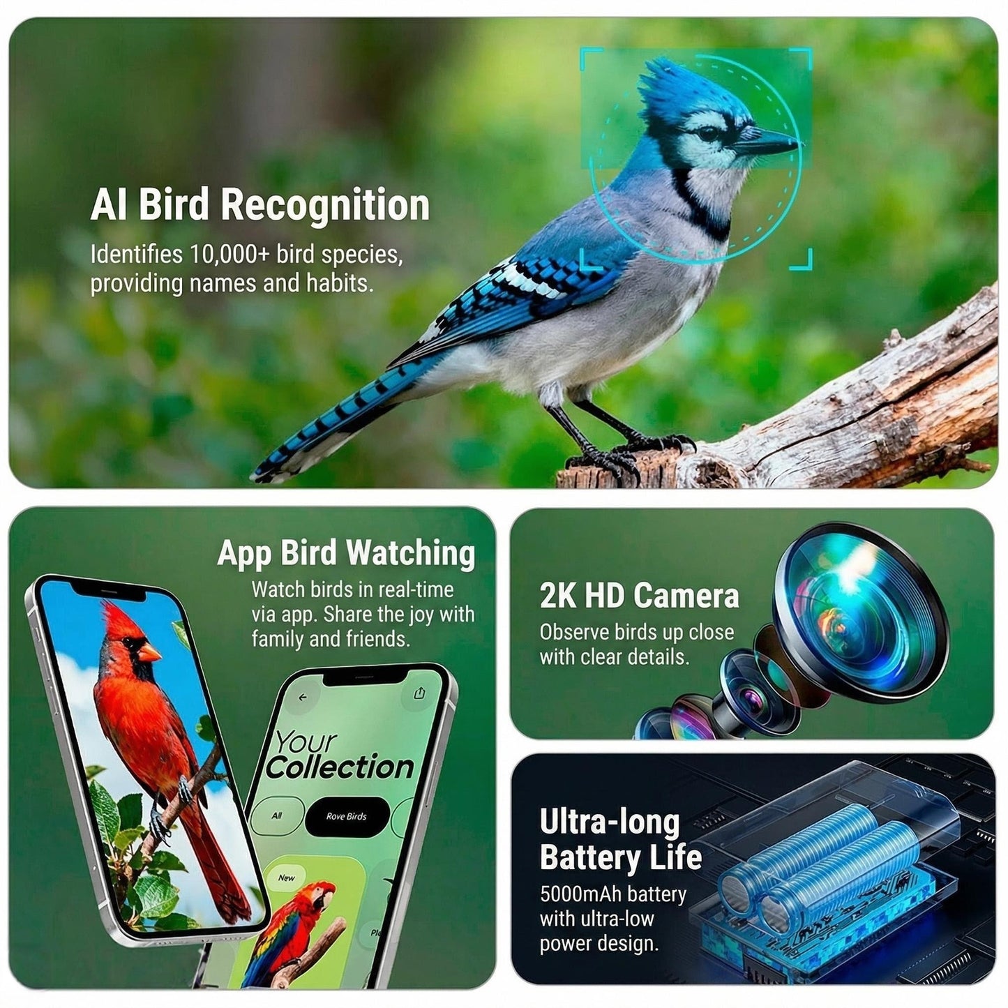 AI Smart Bird Feeder Camera