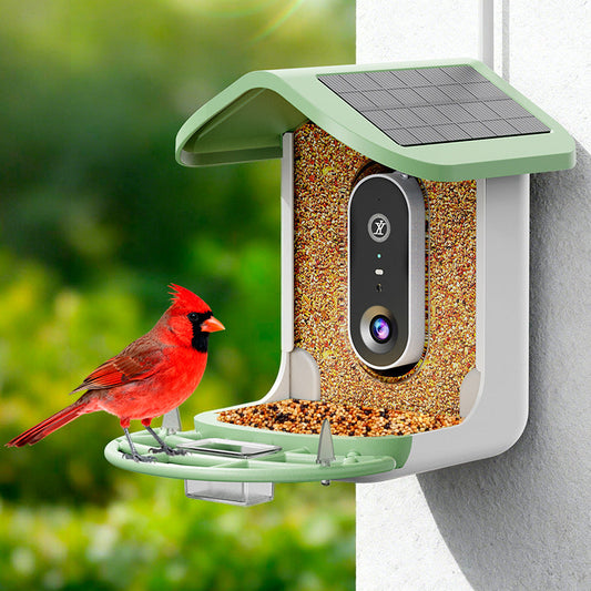 AI Smart Bird Feeder Camera